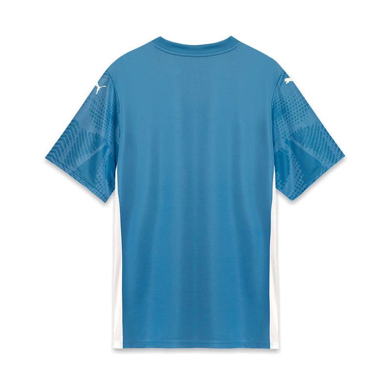 Camisa Palmeiras Puma I 25/26 - Torcedor