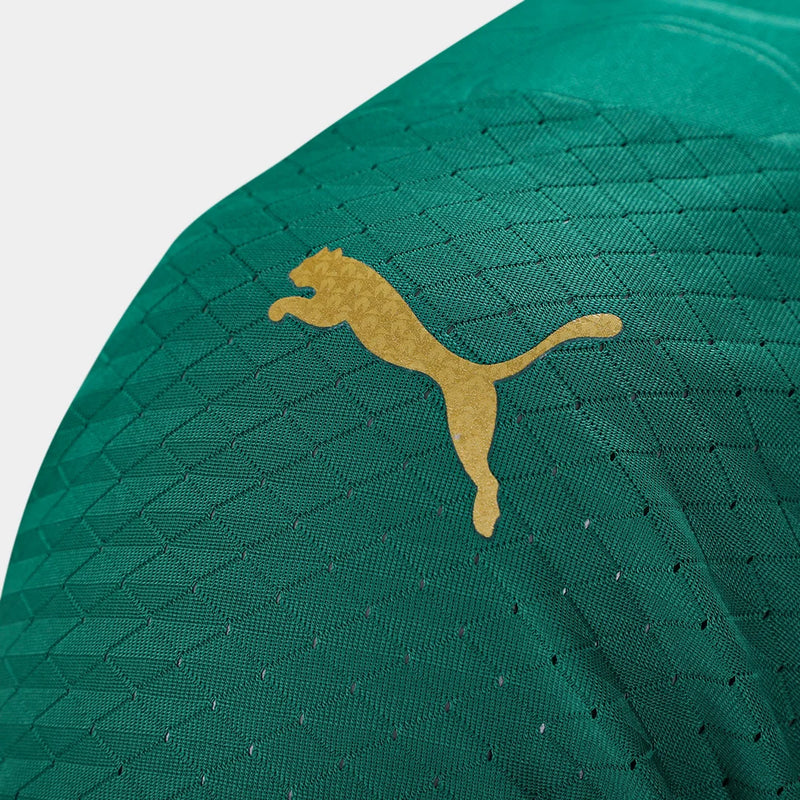 Camisa I Palmeiras 24/25 Torcedor Masculina