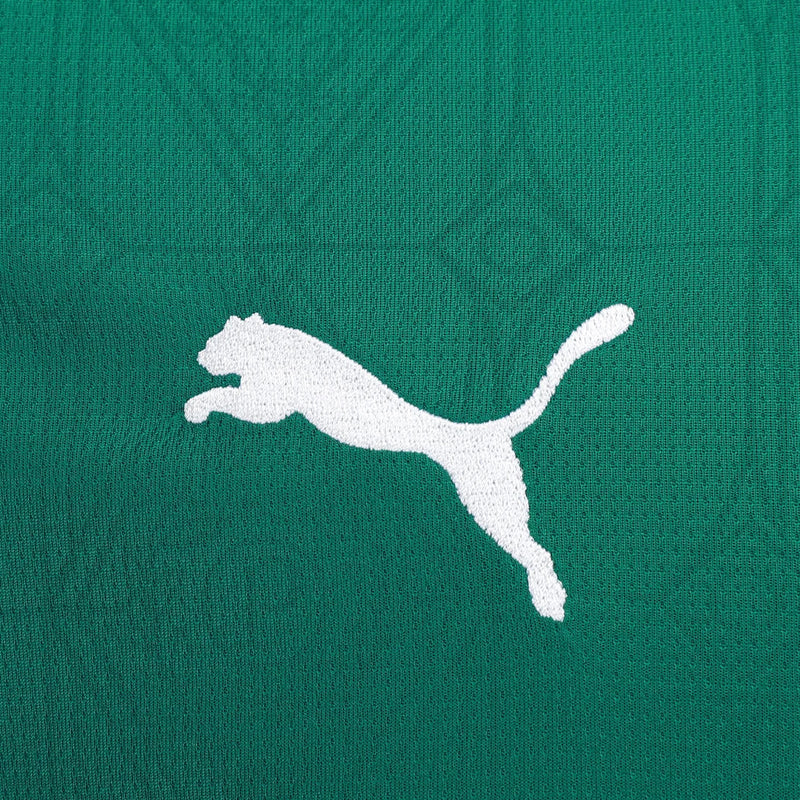 Camisa I Palmeiras 25/26 Torcedor Masculina